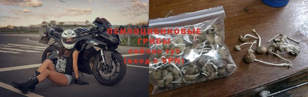 мдпв Пересвет