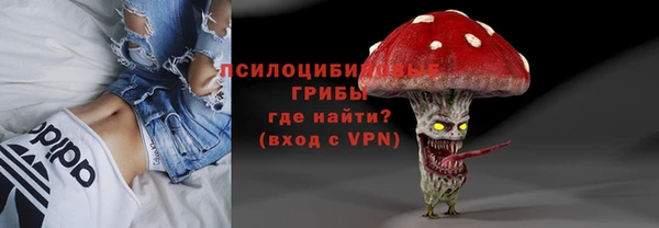 дурь Балахна