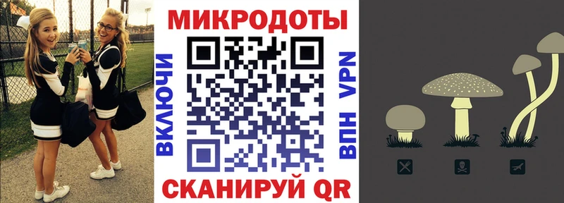 закладка  Нолинск  mega ссылки  Псилоцибиновые грибы мухоморы 